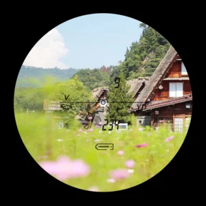 a16f5ae5a4a2932a270c87251929abe2