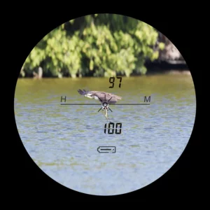 ee5ffafbdba732d55f275140ca7db058