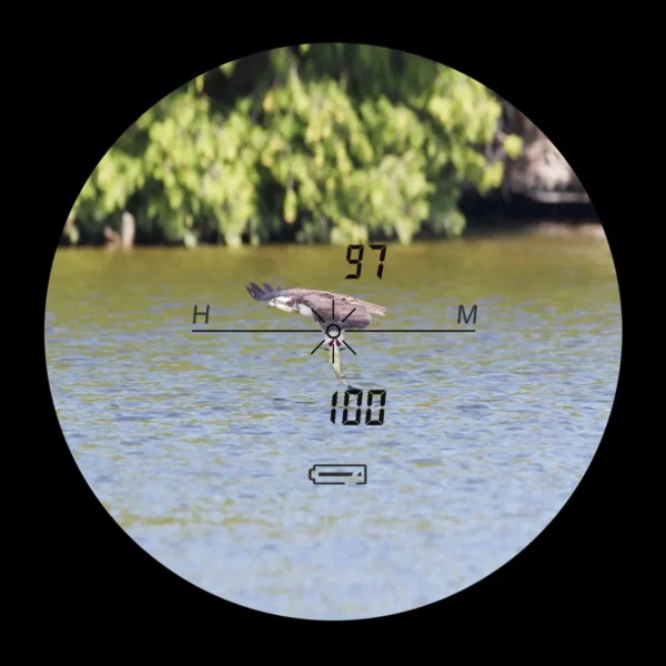 ee5ffafbdba732d55f275140ca7db058